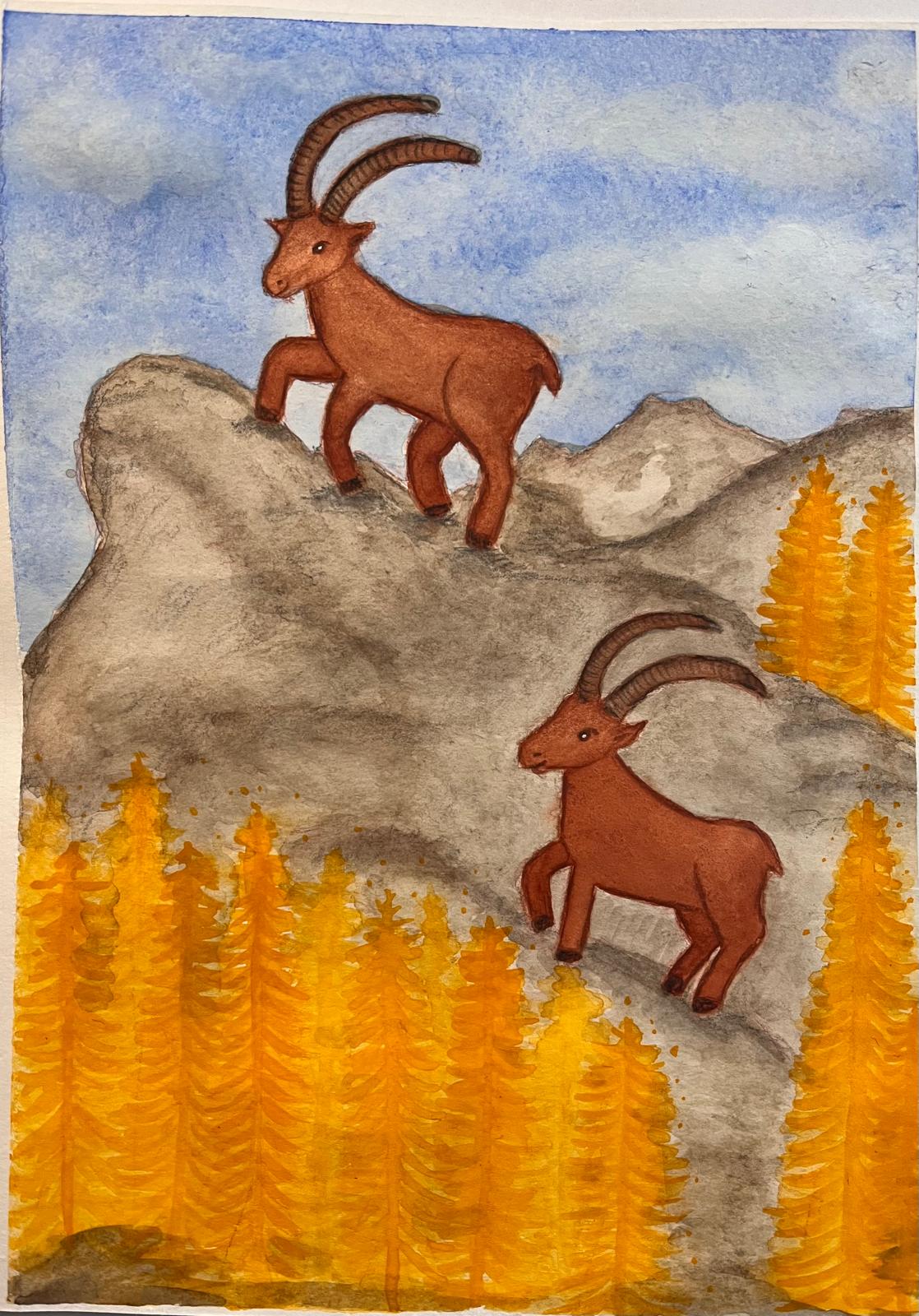 Zwei Steinböcke auf Felsen über herbstlichen Lärchen, Aquarell