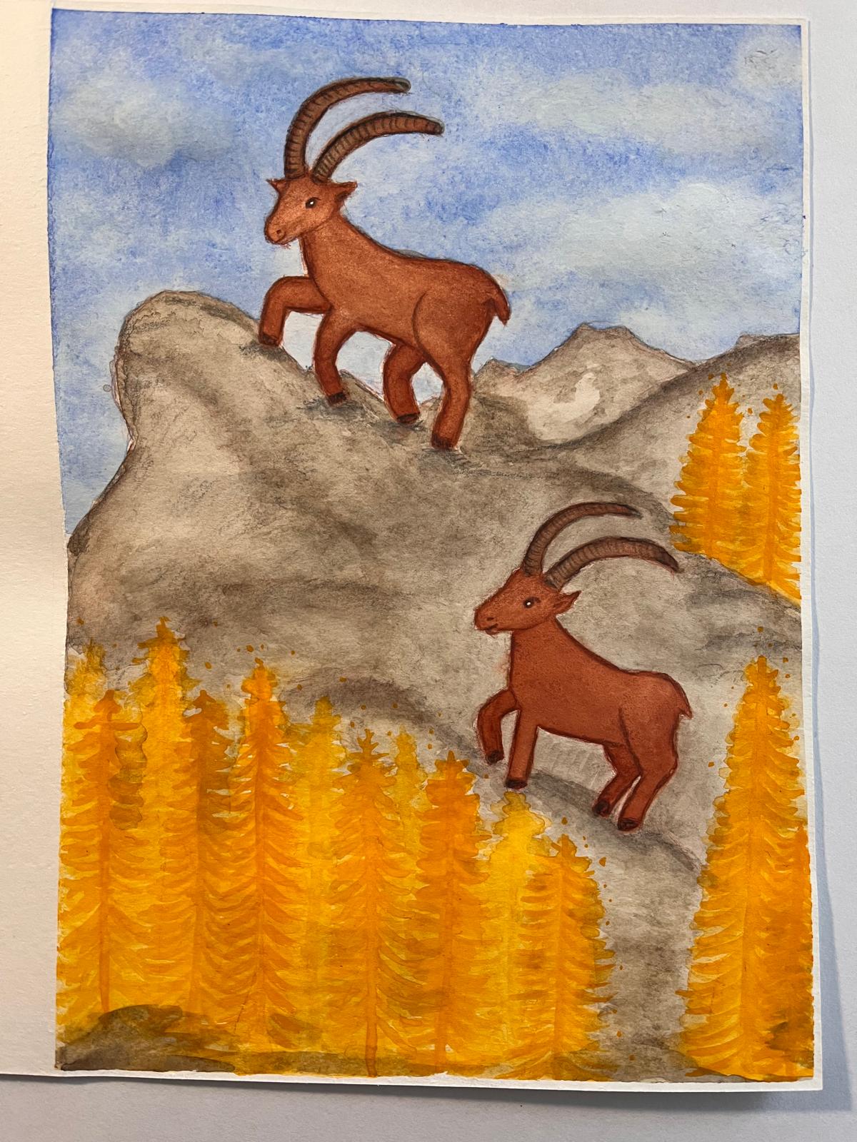 Steinböcke in den Alpen, Aquarell